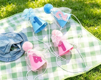 Cappellino di compleanno personalizzato per animali domestici / Pompon soffice e numero brillante / Accessorio perfetto per feste a tema canino / Regalo ideale per amanti degli animali e mamme di gatti