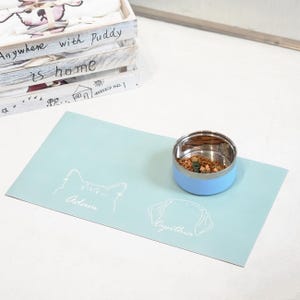 May include: A light blue pet feeding mat with a stainless steel and light blue bowl filled with pet food. The mat features white line drawings of a cat and dog with the names "Adam" and "Cynthia" below them. A wooden crate is in the background.