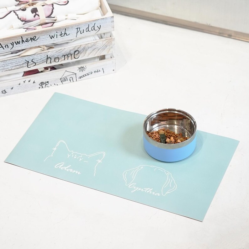 May include: A light blue pet feeding mat with a stainless steel and light blue bowl filled with pet food. The mat features white line drawings of a cat and dog with the names "Adam" and "Cynthia" below them. A wooden crate is in the background.