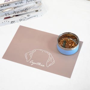 May include: A light blue and silver pet bowl filled with food sits on a taupe placemat. The placemat features a white outline of a dog's head and the name "Cynthia". A wooden crate with text is in the background.