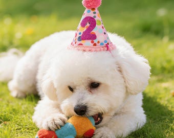 Conjunto de gorro y pajarita de cumpleaños para mascotas hecho a mano, atuendo de fiesta de lunares para perros, regalos para perros y gatos.