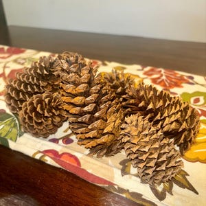 Cinnamon Dusted Pinecones – Fall Farmhouse Bowl Fillers (Set of 10)