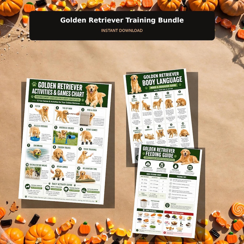 May include: A Golden Retriever training bundle featuring three informational charts: an activities and games chart, a body language mood and behavior guide, and a feeding guide, all containing text and photographs of Golden Retrievers.