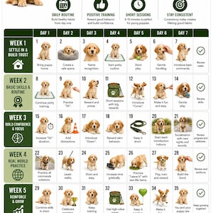 30 Day Puppy Training Plan Printable, Puppy Training Schedule PDF, New Puppy Routine Checklist, Dog Obedience Planner