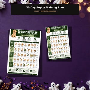 Puede incluir: Un documento de plan de entrenamiento para cachorros de 30 días con una ilustración de un cachorro dorado, un horario diario estructurado e iconos instructivos. El texto dice 30-Day Puppy Plan, Small Steps, Big Results e incluye recordatorios.