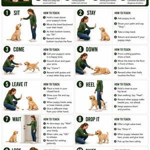 Afdrukbare commando's puppytraining | Gids met 10 essentiële puppycommando's | Hondentraining pdf | Tabel gehoorzaamheidstraining