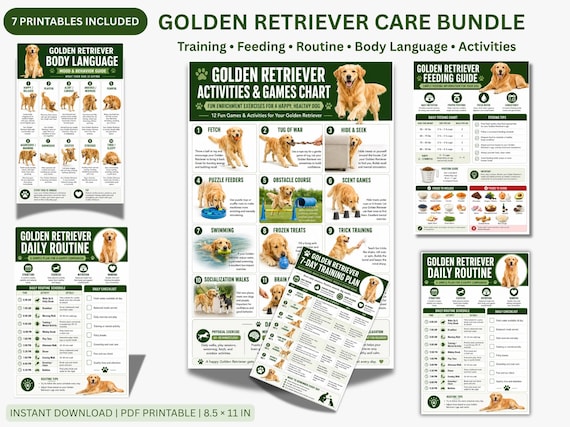Golden Retriever Training Bundle, Puppy Care Guide, Dog Commands Chart, Feeding Schedule, Routine Planner, Behavior Tracker, Printable
