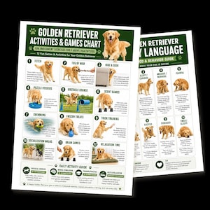 May include: Two informational posters titled Golden Retriever Activities & Games Chart and Golden Retriever Body Language. The charts feature photographs of Golden Retrievers, numbered lists of activities, behavioral descriptions, and text guides.