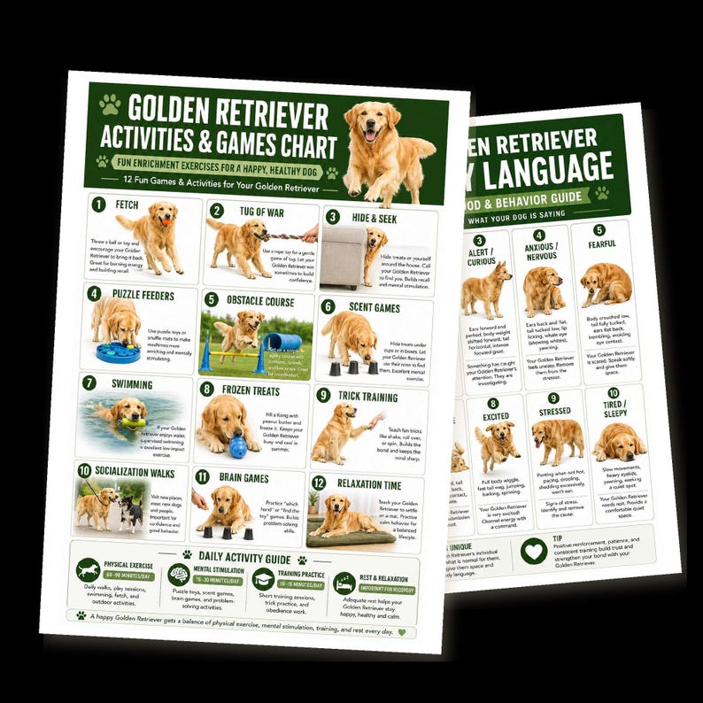May include: Two informational posters titled Golden Retriever Activities & Games Chart and Golden Retriever Body Language. The charts feature photographs of Golden Retrievers, numbered lists of activities, behavioral descriptions, and text guides.