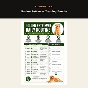 May include: A Golden Retriever daily routine chart featuring a green and white color scheme. The document includes a schedule from 6:00 AM to 9:30 PM, a daily checklist, and tips for dog care. It displays two images of a Golden Retriever and text titled Golden Retriever Daily Routine, A Simple Plan for a Happy Companion.