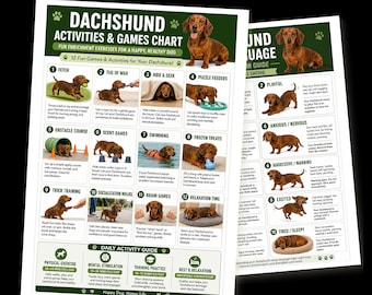May include: Two informational posters titled Dachshund Activities & Games Chart and Dachshund Body Language Guide. Both feature brown dachshunds, numbered lists of activities, and descriptive text for dog owners on a white background.