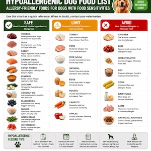 Może przedstawiać: Lista hipoalergicznej karmy dla psów z obrazkiem golden retrievera i trzema kolorowymi kolumnami: Bezpieczne, Ograniczone i Unikać. Tabela zawiera listę różnych produktów spożywczych z opisami dla psów z wrażliwością pokarmową.