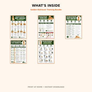 May include: A Golden Retriever training bundle featuring five informational posters titled What's Inside, Golden Retriever Body Language, Feeding Guide, Daily Routine, 7-Day Training Plan, and Training Commands with illustrations and text.