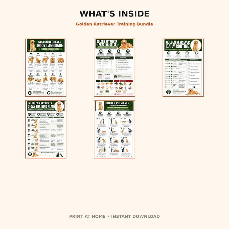 May include: A Golden Retriever training bundle featuring five informational posters titled What's Inside, Golden Retriever Body Language, Feeding Guide, Daily Routine, 7-Day Training Plan, and Training Commands with illustrations and text.