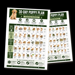 May include: A 30-day puppy plan chart featuring a golden retriever puppy, daily training tasks, and weekly goals. The document includes sections titled 30-Day Puppy Plan, A Simple Daily Plan for a Happy, Well-Behaved Puppy, and Small Steps. Big Results.