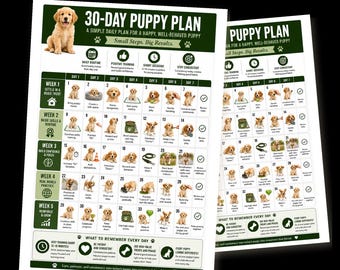 May include: A 30-day puppy plan chart featuring a golden retriever puppy, daily training tasks, and weekly goals. The document includes sections titled 30-Day Puppy Plan, A Simple Daily Plan for a Happy, Well-Behaved Puppy, and Small Steps. Big Results.
