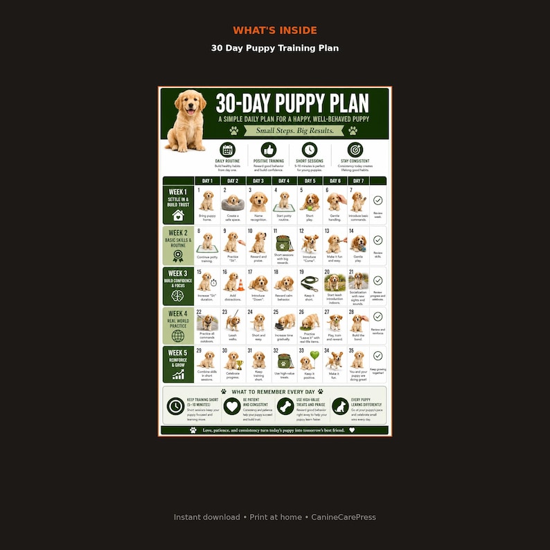 May include: A 30-day puppy training plan chart featuring a golden puppy image at the top, with a grid layout detailing daily tasks across five weeks. The document includes text headers, icons, and numbered boxes from 1 to 35, outlining steps for puppy care and behavior training.
