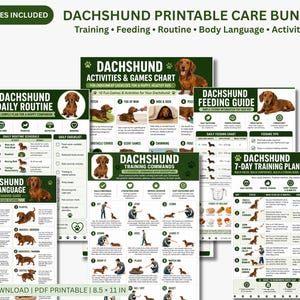 May include: A printable dachshund care bundle with six guides. Includes a daily routine, body language guide, activities and games chart, feeding guide, training commands, and a 7-day training plan. Each guide features illustrations and text.