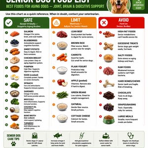 Könnte beinhalten: Eine Senior Dog Food List Infografik mit einem Golden Retriever, unterteilt in die Bereiche Safe, Limit und Avoid. Sie listet Lebensmittel wie Lachs, Blaubeeren und Süßkartoffeln zur Unterstützung sowie Tipps für alternde Hunde auf.
