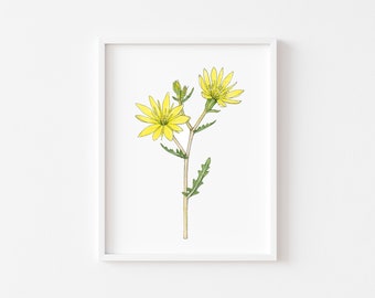 Adonis Blazingstar, Original Watercolor Botanical Illustration, 4x6 inch