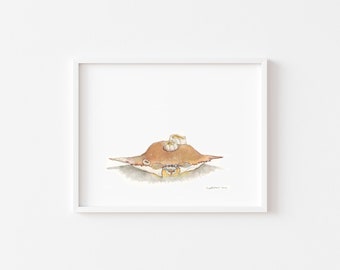 Barnacle Crab Original Watercolor Painting - 8 x 10 inch