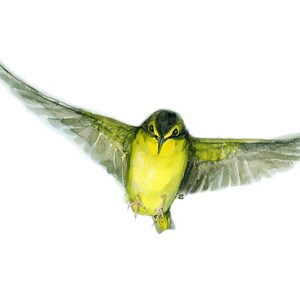 Custom Wildlife Bird Illustration in Watercolor image 2