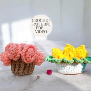 Sunflower & Rose Pot Crochet Coaster Pattern Bundle PDF + Video