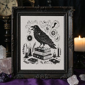 May include: A framed black and white cross-stitch depicting a raven on books, with candles, stars, and celestial motifs. The artwork is in a dark, ornate frame, evoking a gothic or witchy theme. The frame's dimensions are approximately 30 cm x 40 cm.