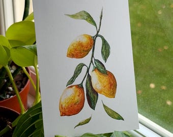 Sicilian Lemon Watercolour Print | Botanical Illustration | Mediterranean Kitchen Art (A4 A5)
