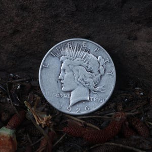 Peace Dollar Good Condition 1921-28 & 1934-35
