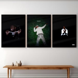 Puede incluir: Tres impresiones de arte mural rectangulares mostradas una al lado de la otra. La impresión de la izquierda muestra a una persona con una cadena de plata. La central muestra a una persona con chaqueta blanca y vaqueros sobre hierba con el texto PROJECT X.