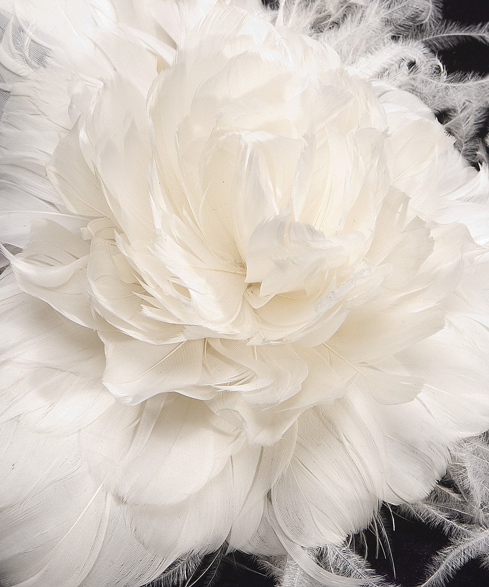White Feather Rose - Etsy