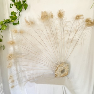 Giant Peacock Feather Fan / Bleached Beige or Regular Peacock Feathers / Sequin and Rhinestone Base