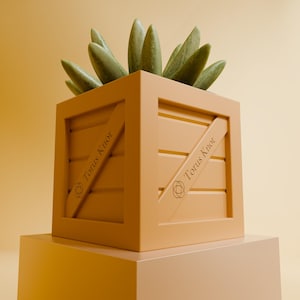 May include: A square, light orange wooden crate with diagonal support beams, holding several green, pointed succulent plants. The crate has the text "Torus Knot" printed on the diagonal beams. The crate sits on a light orange pedestal.