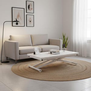 May include: A contemporary living room with a beige sofa, a white lift-top coffee table, and a circular jute rug. Artwork adorns the wall above the sofa. A black floor lamp and a potted plant enhance the decor. The room has a bright, airy atmosphere.