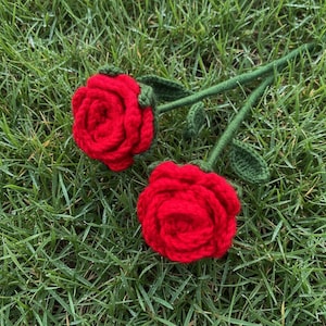 May include: Two handmade crochet roses with vibrant red petals and green stems and leaves. The roses are lying on a bed of green grass, showcasing the detailed craftsmanship of the floral design. A charming, handcrafted floral arrangement.