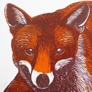 May include: Close-up of a red fox's face, with orange and brown fur, looking directly at the viewer. The fox's nose is black, and its eyes are dark brown. The image is a linocut print.