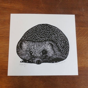 May include: Black and white print of a hedgehog. The illustration features a detailed depiction of the animal, with a focus on its spiky back and expressive face. The word "hedgehog" is printed below the image.