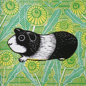 May include: A black and white guinea pig with a white stripe down its back is sitting in a field of green and yellow dandelions.