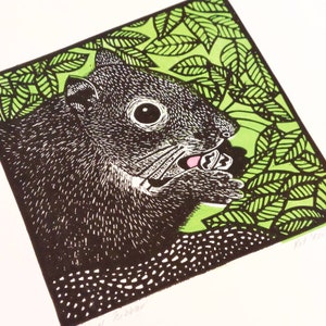 May include: A black and white woodblock print of a squirrel eating a nut. The squirrel is surrounded by green leaves. The print is signed "Kel 2012".