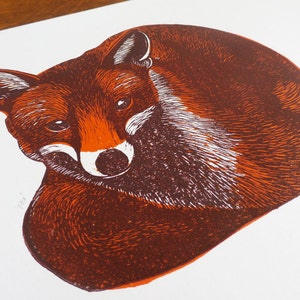 May include: A red fox print with brown and white fur details. The fox is curled up in a sleeping position. The print is on a white background.