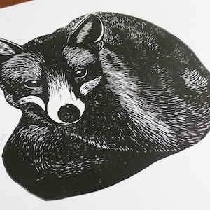 May include: Black and white woodcut print of a fox curled up sleeping. The fox is depicted in a realistic style with detailed fur and facial features.