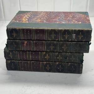Puede incluir: Una pila de cuatro libros antiguos con cubiertas de cuero marrón oscuro y letras doradas. Los lomos indican "Evelyn's Diary" y los números de volumen. El libro superior tiene una cubierta jaspeada en tonos rojos, azules y amarillos.