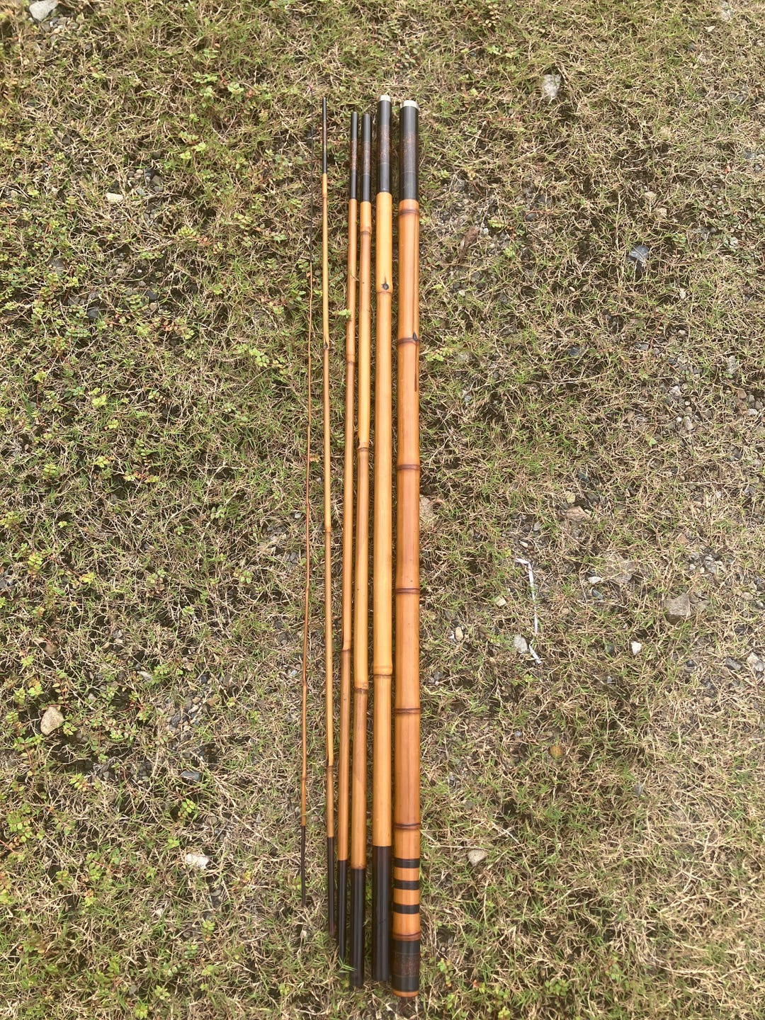 new okuma nomad rod Travel Spin – Chaddy Boys Color:Satin Bronze sensitive and super responsive Econ 101 5/6 Fly Lingcod