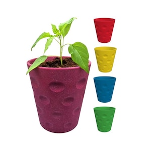 Könnte beinhalten: Ein magentafarbener, glitzertexturierter Blumentopf mit einer kleinen Pflanze im Inneren. Der Topf hat eine Reihe von ovalen Vertiefungen. Daneben befinden sich vier einfarbige Töpfe: rot, gelb, blau und grün, jeweils mit dem gleichen ovalen Muster.