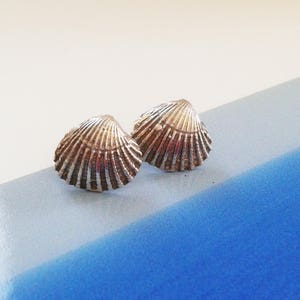 Könnte beinhalten: Ein Paar silberne Ohrringe in Muschelform. Die Ohrringe liegen auf einer blau-weißen Oberfläche.