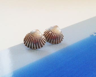 Può includere: Un paio di orecchini a forma di conchiglia in argento. Gli orecchini sono su una superficie blu e bianca.