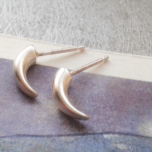 May include: A pair of silver stud earrings shaped like small, curved horns.
