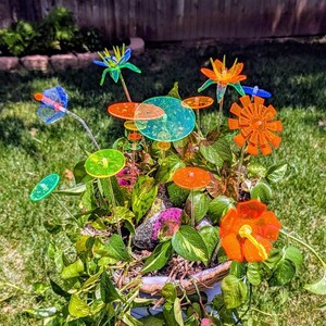 May include: A collection of colorful, translucent acrylic garden stakes in various shapes including flowers, circles, and a butterfly, inserted into a potted plant with green leaves. The stakes feature vibrant orange, blue, and green hues.