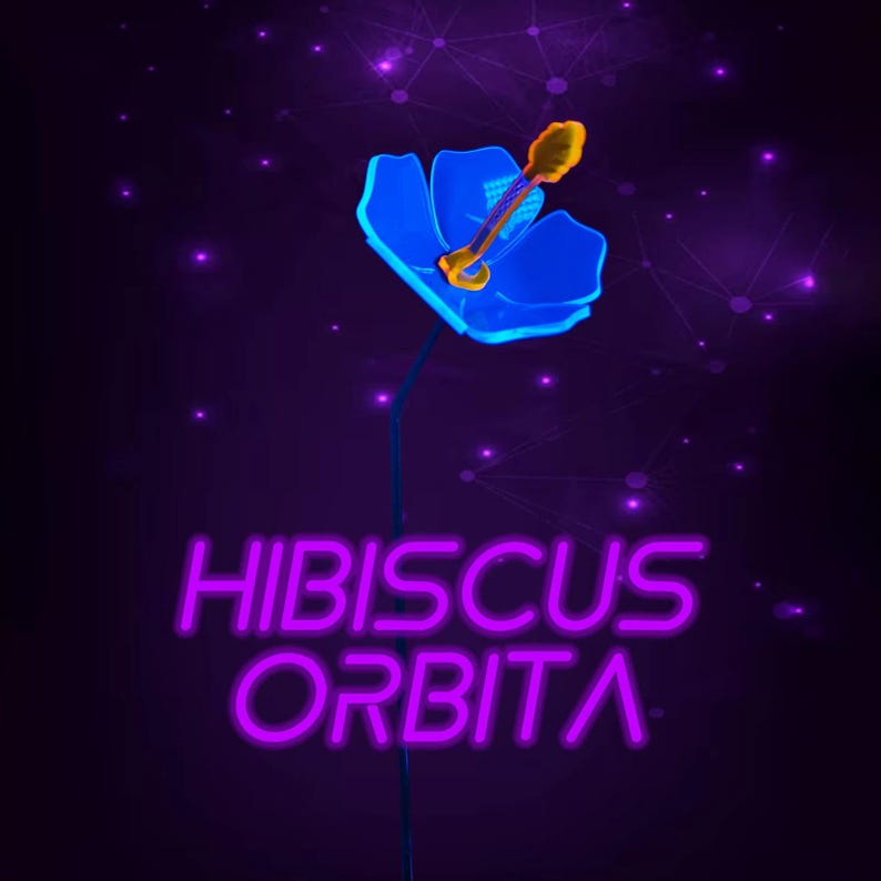 May include: A digital illustration of a blue hibiscus flower with a yellow stamen, positioned above the purple neon text HIBISCUS ORBITA. The background is a dark purple gradient with faint glowing nodes and connecting lines.